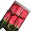 finas rosas para regalos especiales