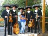 mariachi chile mexico curamos todas las penas de amor 02-7279788