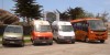 buses transfer en arica