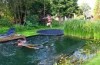piscinas ecologicas
