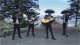 los mariachis de chile:2573 31 58  somos un grupo de musicos traidos d