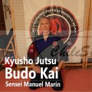 kyusho jutsu el secreto de las artes marciales ahora curso online