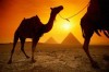 conoce egipto, un destino sin igual !!!
