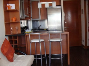 ANGELICA Avisos gratis en Chile en Providencia |  DEPARTAMENTOS AMOBLADOS EN PROVIDECIA, DESDE $ 21.000 DIARIOS