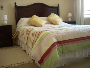 BELLAVITA Avisos gratis en Chile en Santiago |  DEPARTAMENTOS AMOBLADOS EN SANTIAGO Y PROVIDENCIA, SE ARRIENDAN POR DIAS SEMANAS, PARA TURISTAS EN SANTIAGO DE CHILE