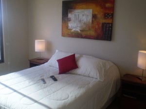 Mario Castillo Avisos gratis en Chile en Santiago |  Arriendo departamentos amoblados por d&iacute;as en Santiago, Desde $22.000 vea videos y fotos en nuestra pagina web