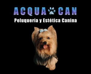 ACQUACAN Avisos gratis en Chile en La Reina |  PELUQUERIA CANINA ACQUA CAN A PRECIOS JAMAS VISTOS EN ZONA ORIENTE, TODO INCLUIDO POR $ 5.000 RAZAS CHICAS Y MEDIANAS