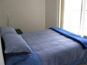Maria Pilar Finger Avisos gratis en Chile en Santiago |  ARRIENDO DEPARTAMENTO EJECUTIVO AMOBLADO VACACIONES  O VISITA DE NEGOCIOS, VENGA A PROVIDENCIA  ES UN BARRIO EXCLUSIVO DE MUCHO PRESTIGIO Y MUY SEGURO