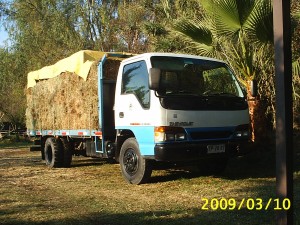 RICARDO JARA Avisos gratis en Chile en Santiago |  ARRIENDO CAMION CHEVROLET DE 5000KILOS, ARRIENDO CAMION CHEVROLET DE 5000 KILOS CON CHOFER