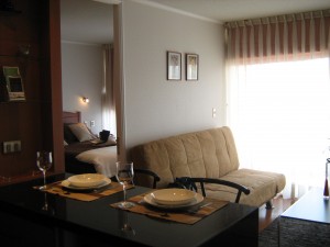 Liliana Avisos gratis en Chile en Las Condes |  Amoblados, DEPARTAMENTOS NUEVOS 