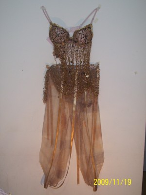 IRMA Avisos gratis en Chile en La Serena |  NUEVA TIENDA ARRIENDA DISFRACES HERMOSOS Y VARIADOS, VISITA LA PAGINA, VICTOR MARIANO CARVACHO 2336, LOS TORREONES, C&Iacute;A BAJA, LA SERENA