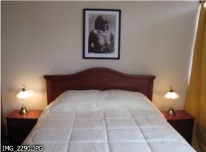  Avisos gratis en Chile en Santiago |  Arriendo Departamentos  de lujo  amoblados dias, semanas en santiago centro, METRO SANTA LUCIA