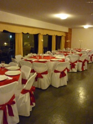 ximena Avisos gratis en Chile en Providencia |  banqueter&iacute;a fina en Providencia., Cocteleria fina en Providencia, todo tipo de celebraciones