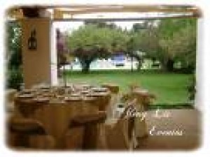 Aleny Olave Avisos gratis en Chile en Villa Alemana |  BANQUETES - COCTELES - ARRIENDO DE VAJILLA - MONTAJES, Eventos particulares y empresas