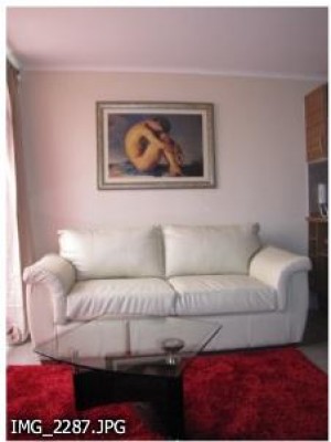  Avisos gratis en Chile en Santiago |  Arriendo Departamentos    de lujo  amoblados DIAS, SEMANAS en santiago cent, METRO SANTA LUCIA