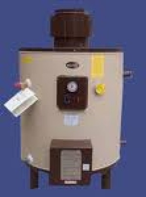 termoservic Avisos gratis en Chile en Lo Barnechea |  Calentadores de agua termos winter gas electricos 2219640 mantenciones, reparaciones acumuladores agua caliente