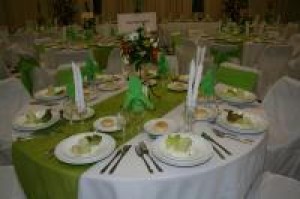 elena Avisos gratis en Chile en Concepci&oacute;n |  SERVICIO DE BANQUETERIA EN CONCEPCION Y ALRREDEDORES/TODO PARA SU BODA , TRONCOSO Y BRAVO BANQUETERIA/Servicio Integral y Profesional