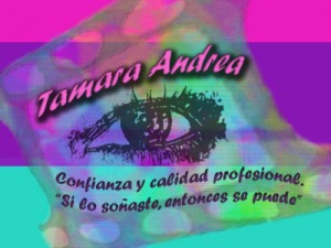 Tamara Andrea E.I.R.L Avisos gratis en Chile en Santiago |  Party Planner en Chile, Producci&oacute;n de eventos para fiestas