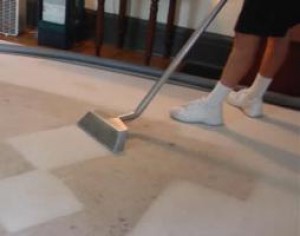 limpiexpress Avisos gratis en Chile en Santiago |  limpieza y sanitizado de todo tipo de alfombras, limpiexpress los expertos en limpieza