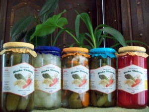 Freddy Latorre Avisos gratis en Chile en Santiago |  Venta granel de Encurtidos Pickles, Pepinillos, Cebollitas y a fines
