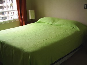  Avisos gratis en Chile en Santiago |  Arriendo Departamentos Amoblados.(D&iacute;as,semanas) Stgo centro, METRO UNIVERSIDAD CATOLICA linea 1
