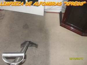  Avisos gratis en Chile en Vi&ntilde;a del Mar |  LAVADO,,LIMPIEZA DE ALFOMBRAS EN VI&Ntilde;A DEL MAR,,,,., casa,depto,oficina