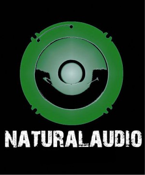 NATURALAUDIO Avisos gratis en Chile en Santiago |  SALAS DE ENSAYO Y ESTUDIO DE GRABACION, NATURALAUDIO