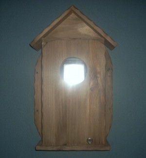 Alfonso A. Avisos gratis en Chile en Temuco |  CASA MEDIDOR LUZ TEMUCO  instalados, CASETA MEDIDOR LUZ EN TEMUCO  RUSTICOS MADERA NATIVA