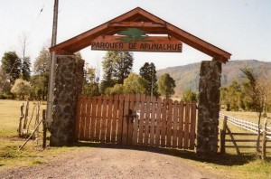 NCPropiedades Avisos gratis en Chile en Villarrica |  Parcela 5059,25 M2, Parque Afunalhue, Villarrica, Seguridad, tranquilidad, hermosa naturaleza