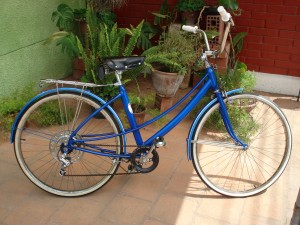 Mario Delgado Avisos gratis en Chile en Rancagua |  Bicicleta, Bicicleta Caloi restaurada