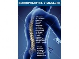 RICARDO Avisos gratis en Chile en Santiago |  Curso Quiropraxia,Drenaje,etc, VIDEOS,FOTOS Y MUCHO MATERIAL PROFESIONAL
