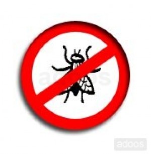 plagas city Avisos gratis en Chile en Quilicura |  fumigaciones desratizaciones desinfecciones, Expertos en contro de todo tipo de plagas urbanas