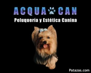ACQUA CAN Avisos gratis en Chile en Santiago |  PELUQUERIA CANINA ACQUA CAN A PRECIOS JAMAS VISTOS EN SANTIAGO $5500 , $5500 RAZAS CHICAS Y MEDIANAS $8000 GRANDES $ 10000 EXTRA GRANDES 