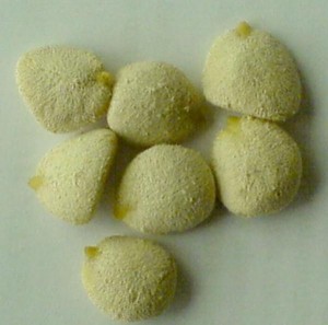 paola Avisos gratis en Chile en Santiago |  NUEZ DE LA INDIA 100% NATURAL $13.000 ADELGACE SIN DIETA, 100% natural realmente efectiva