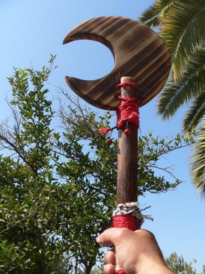 Roberto Mercado Aced Avisos gratis en Chile en Santa Mar&iacute;a |  Lonqui Mai, Masa del Toqui