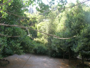 Darrigrandi y Simunovic jardineros Avisos gratis en Chile en Las Condes |  Mantencion de jardines y areas verdes.Paisajismo dise&ntilde;o de jardines, Darrigrandi y Simunovic Jardineros