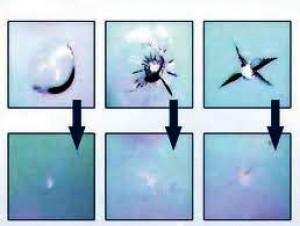 Eugenio Zamora Avisos gratis en Chile en Quillota |  Adomicilio Reparacion de Parabrisas 94282805 V region Quillota, reparamos parabrisas a domicilios de toda la region