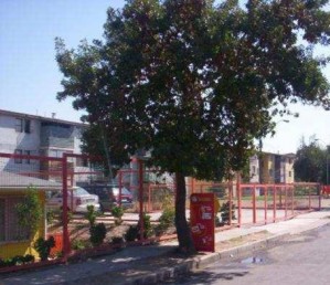 TEMOTERRA Avisos gratis en Chile en Temuco |  DEPARTAMENTO EN SANTIAGO, TEMOTERRA