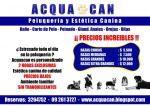 ACQUA CAN Avisos gratis en Chile en La Reina |  ACQUA CAN A PRECIOS INCREIBLES EN LA REINA LAS CONDES PROVIDENCIA VITACURA , ESTETICA CANINA DE CALIDAD PERSONALIZADA SIN TRANQUILIZANTES