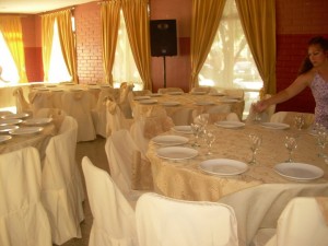  Avisos gratis en Chile en Buin |  Dj amplificaci&oacute;n iluminaci&oacute;n fiestas matrimonios karaokes cumplea&ntilde;os , Audio � Iluminaci&oacute;n profesional para eventos