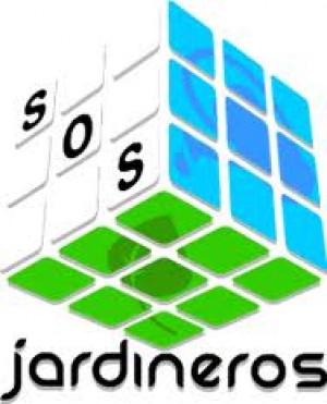 Patricio Avisos gratis en Chile en Quillota |  Mantenci&ograve;n de jardines areas verdes e instalacion riego automatico, Para casas, condominios y parcelas de agrado en quillota, olmue limache