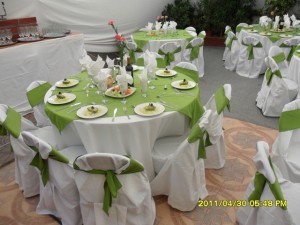 Avisos gratis en Chile en Santiago |  BANQUETERIA CANELO CATERING Y EVENTOS A DOMICILIO, EVENTOS  A DOMICILIO CON LA ELEGANCIA Y CALIDAD QUE USTED ESPERA 