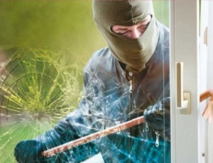 SERVICIOS GEYA Avisos gratis en Chile en Santiago |  Laminas de Proteccion, Servicios GEYA, Laminas de Proteccion