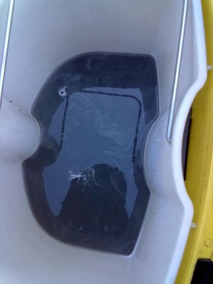 carlos Avisos gratis en Chile en Quilpu&eacute; |  LIMPIEZA DE ALFOMBRAS  EN QUILPUE BELLOTO VILLA ALEMANA  90423253, LIMPIEZA DE ALFOMBRAS Y TAPICES DE AUTOS EN VI&Ntilde;A DEL MAR RE&Ntilde;ACA  90423253