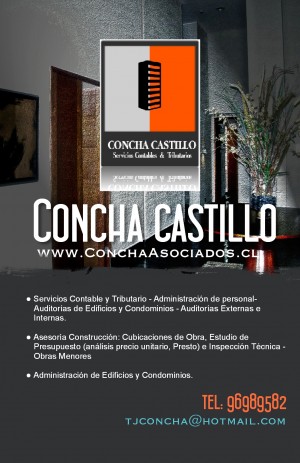 CONCHAASOCIADOS Avisos gratis en Chile en Santiago |  SERVICIOS CONTABLES Y TRIBUTARIOS, PROFESIONLES INDEPENDIENTES DEDICADOS A LA ASESOR&Iacute;A CONTABLE Y TRIBUTARIA