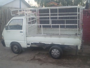 MARCELO CACERES Avisos gratis en Chile en La Reina |  FLETES MUDANZAS BARATOSMINIMUDANZAS EN TODO STGO 02-9317948 COTICE, FLETES Y MUDANZAS ECONOMICAS COTICE SIN COMPROMISO 02-2211355