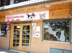 Mascotilandy Avisos gratis en Chile en &Ntilde;u&ntilde;oa |  Veterinaria Mascotilandy, &Ntilde;u&ntilde;oa, Consulta y Atenci&oacute;n a Domicilio