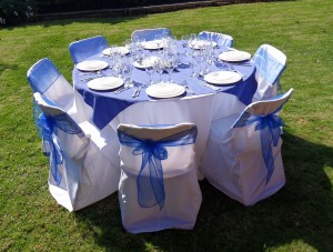 Claudia Qui&ntilde;ones Avisos gratis en Chile en Talagante |  Arriendo Vajilla Melipilla Claudia Qui&ntilde;ones 8-9290362, Todo Mobiliario para su Evento