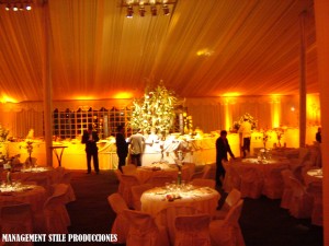 Management Stile Avisos gratis en Chile en Santiago |  Productora de eventos y banqueteria, Servicios Corporativos e Industriales Alimenticios