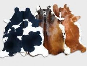 MARIANA ALVAREZ Avisos gratis en Chile en Las Condes |  ALFOMBRAS DE CUERO DE VACA 100% NATURAL, ALFOMBRAS VACUNO 100% ORIGINAL